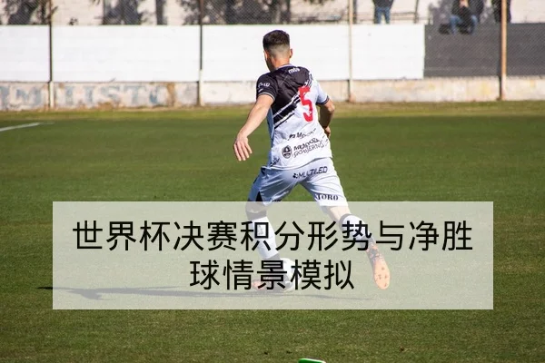 世界杯决赛积分形势与净胜球情景模拟
